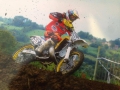 Farleigh Castle Bart van Dulmen 56 foto